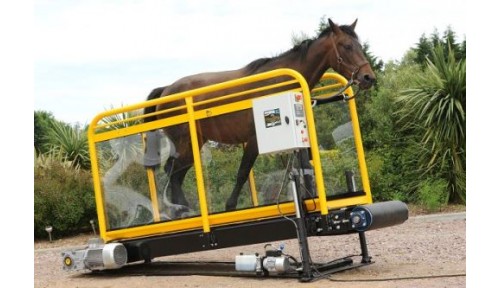 Hippotrainer Horse Treadmill